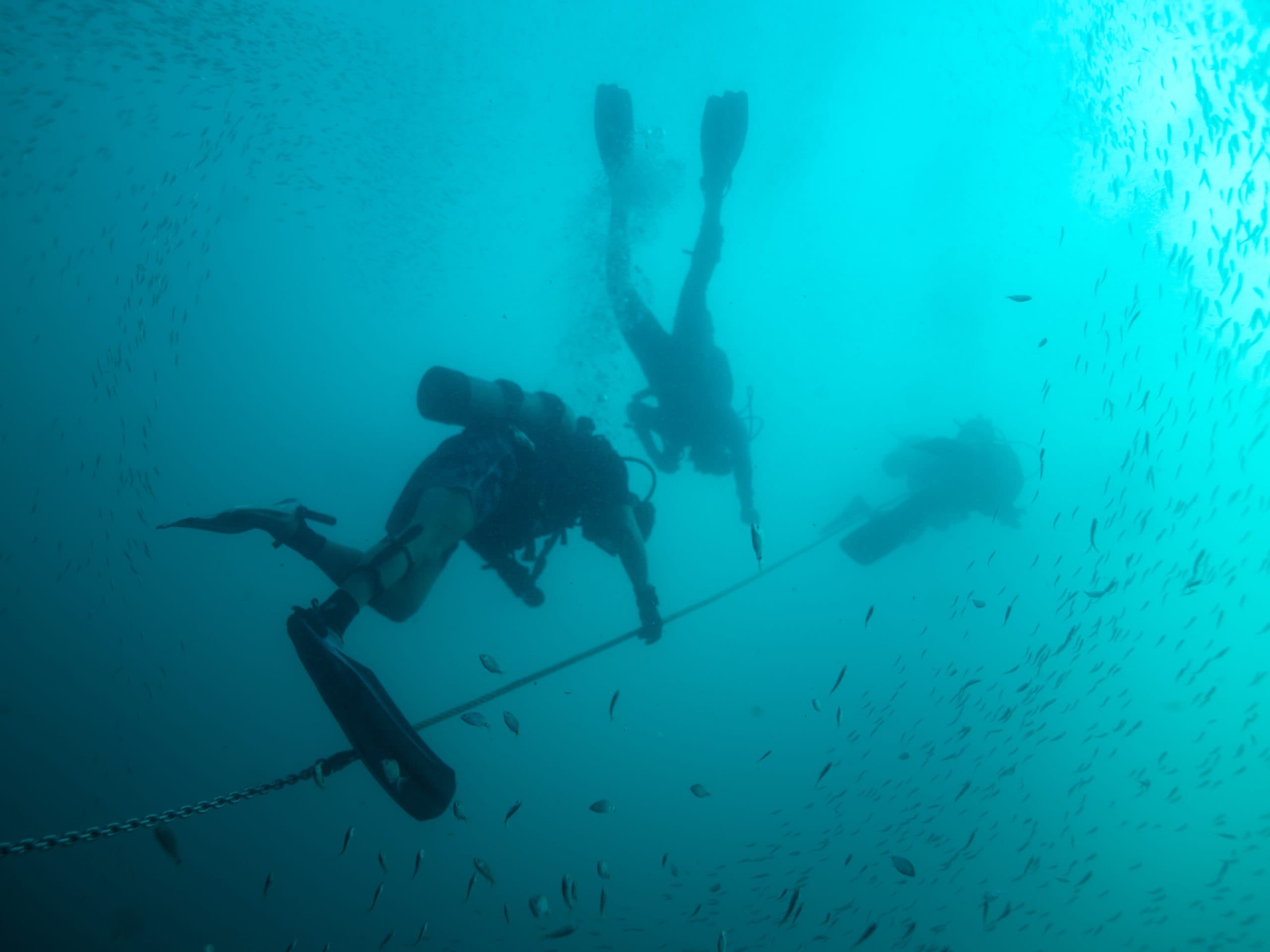 Photo from “SCUBA Skills = Life Skills”