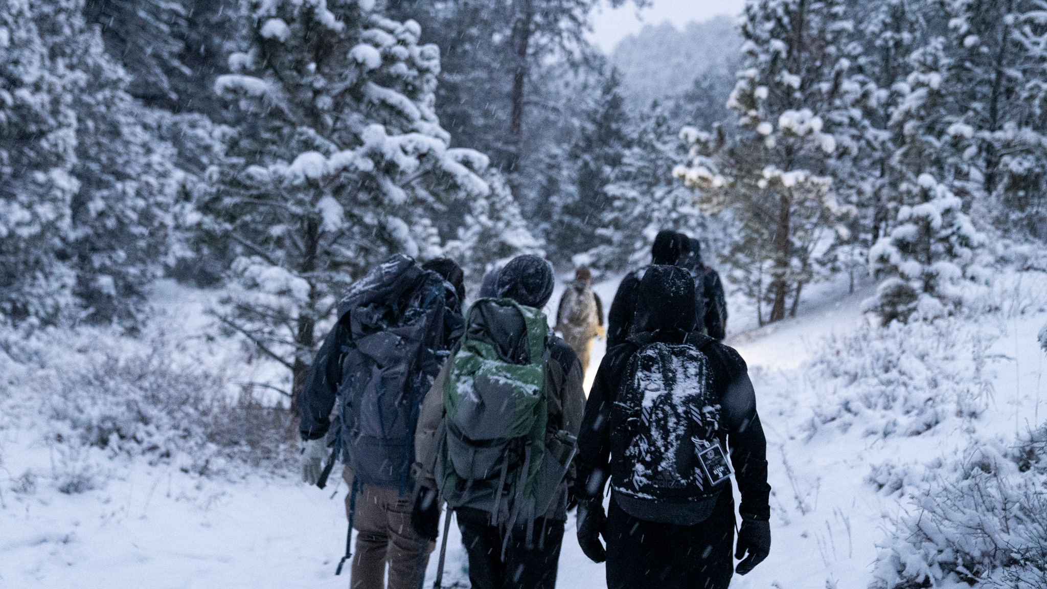 Photo from “An Experience of a Lifetime: An Alpine Adventure in Estes Park”