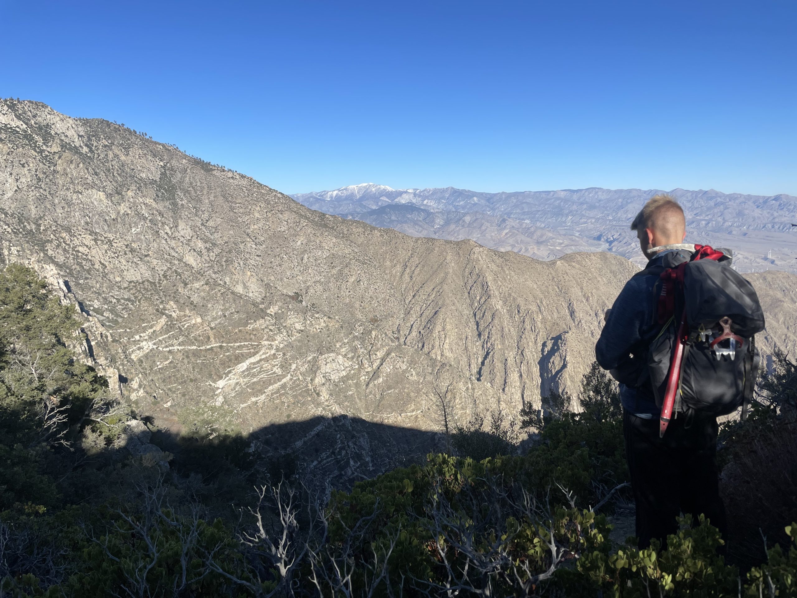 Photo from “Skyline Trail: Cactus to the Clouds”