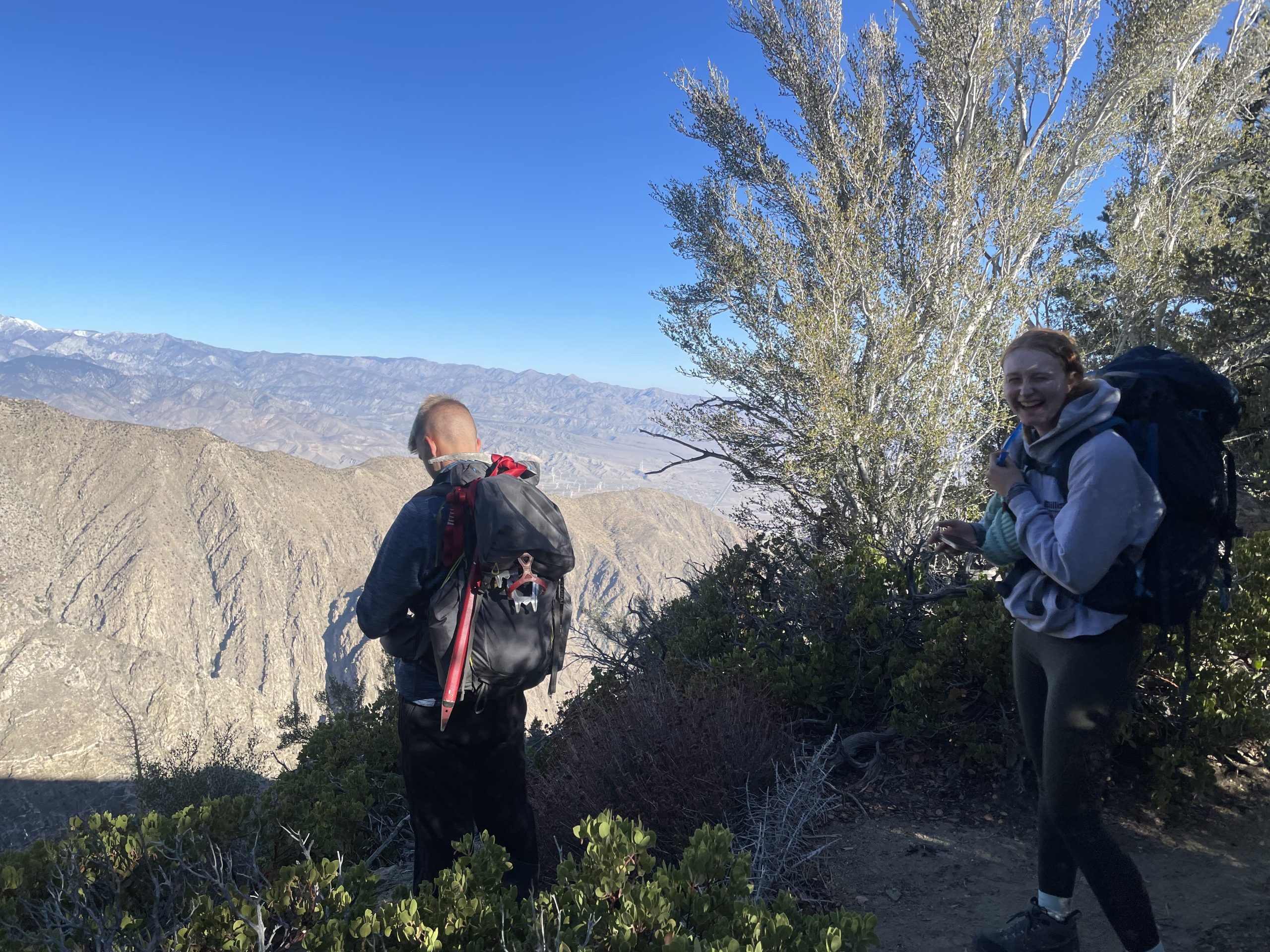 Photo from “Skyline Trail: Cactus to the Clouds”