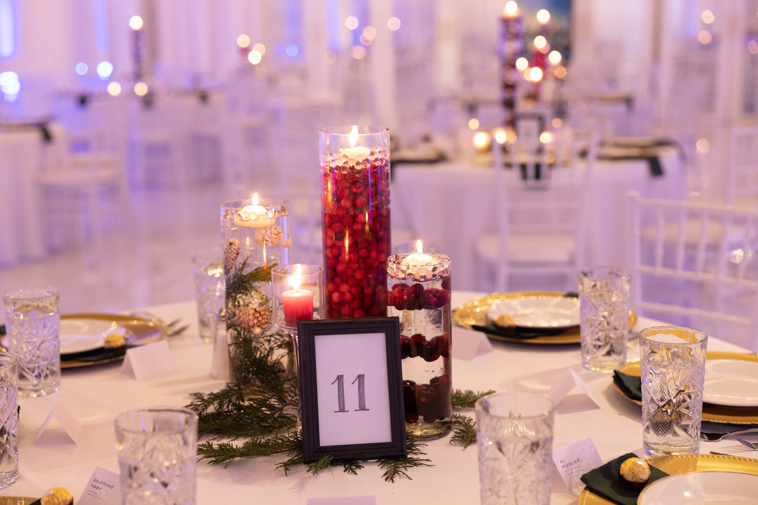 Photo from “Christmas Gala”